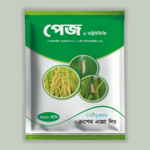 Page (পেজ) 6 WDG